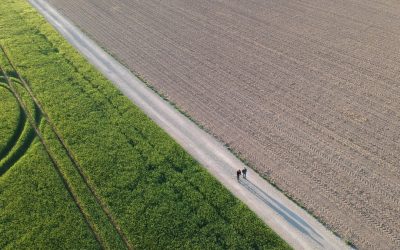 Gehen: Der einfache Weg zu einem neuen Leben