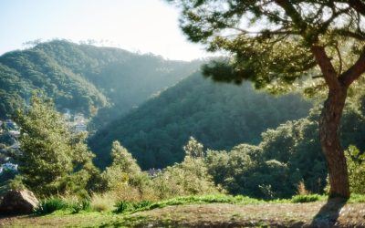 Ihr ultimativer Hotelführer für Podgorica: Luxus, Komfort & Budget