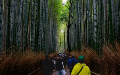 Kyoto Hotels: Top-Auswahl für jedes Budget