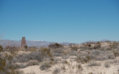 Las Vegas Hotels: Luxus bis Budget – Ihr Guide 2025