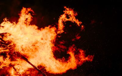 Leben resetten: Dein Neuanfang wartet