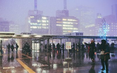 Sapporo Hotels: Luxus & Budget für Ihre Reise