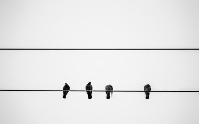 Die größten Irrtümer im Zeitmanagement