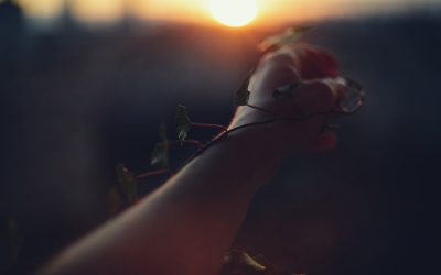 Leben ordnen: 3 tägliche Rituale für mehr Klarheit
