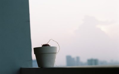 Morgenrituale für Faule: Erfolgreich ohne Stress