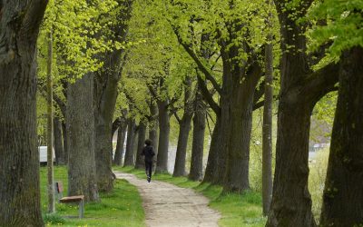 Sixpack: Ernährung vor Training? Der wahre Weg