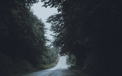 Angstfrei Wohnen: Ihr Zuhause als Oase der Ruhe