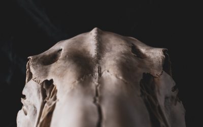 Bauchfett reduzieren im Sitzen? Was wirklich hilft.