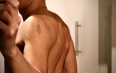 Sixpack: Der Rectus Abdominis im Fokus