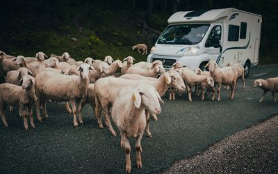 Autobestand weltweit: Zahlen & Trends 2025