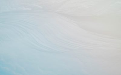 Die Top-Suchanfragen im Internet