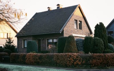 Energiewende: So sparen Sie Strom & leben nachhaltig