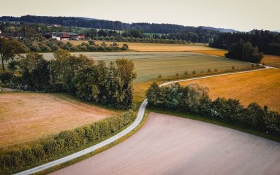 Nachhaltig leben 2025: Ihr Wegweiser für ein grüneres Deutschland