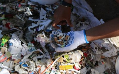 Plastikfrei leben: Einfache Schritte