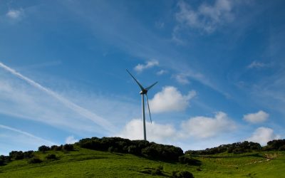 Weltweite Energiewende: Wie Länder auf alternative Energien setzen