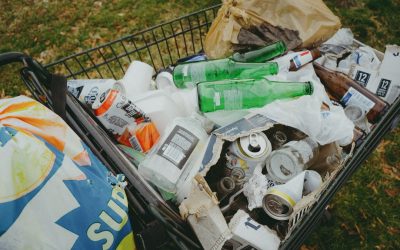 Zero Waste: Dein Weg zum nachhaltigen Alltag