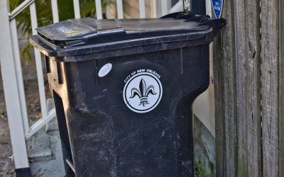 Zero Waste Deutschland: Einfach nachhaltig leben