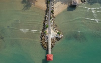 Blog-Erfolg: SEO, AdSense & Monetarisierung