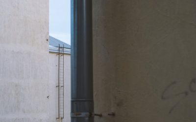 Die besten Diätmethoden 2025 im Vergleich: Low-Carb, Intervallfasten, Mittelmeer-Diät und mehr