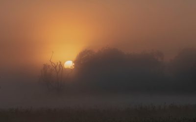 Die geheime Morgenroutine der Genies: Enthüllt!