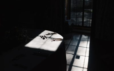 Die Geheimnisse der Langlebigkeit: Gewohnheiten der gesündesten und ältesten Menschen der Welt