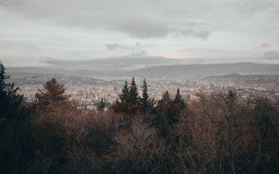 Die Geheimnisse des YouTube-Algorithmus 2025 entschlüsseln