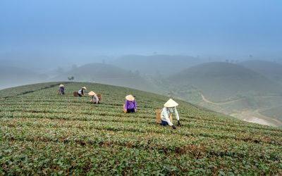 Kaffee und Tee richtig genießen: Ein Leitfaden für bewussten Genuss im Jahr 2025
