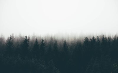 Minimalismus & Zero Waste: Dein nachhaltiger Weg