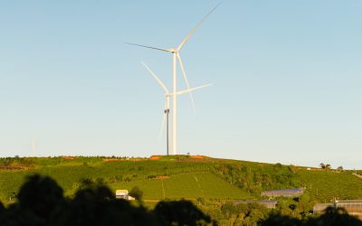 Nachhaltig leben: Grüne Tipps für Deutschland
