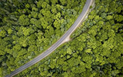 Nachhaltig Reisen: Dein grüner Urlaub