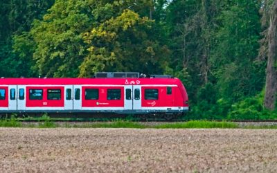 Nachhaltig Reisen: Deutschlands Grüne Oasen Entdecken