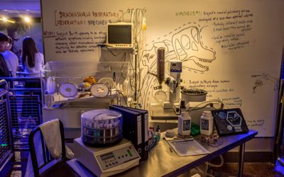 Wissenschaftlich fundiert lernen: So optimieren Sie Ihren Lernerfolg 🧠