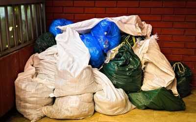 Zero Waste Deutschland: Nachhaltig leben