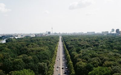 Zero Waste: Nachhaltig leben – jetzt!