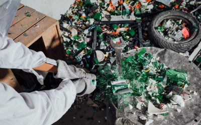 Zero Waste: Nachhaltig leben leicht gemacht