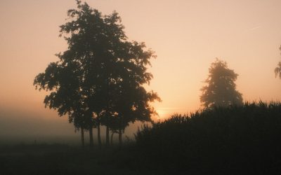 7 Gewohnheiten, die Ihr Leben mit einer Morgenroutine verändern