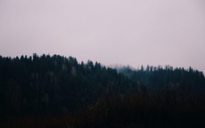 Die Geheimnisse der Hundertjährigen: Gewohnheiten für ein langes und gesundes Leben
