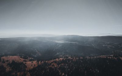 Ihr Leitfaden für ein erfolgreiches Leben als digitaler Nomade