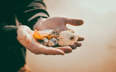 Ihr Weg zum digitalen Nebenverdienst: Aktuelle Trends und Möglichkeiten 2025