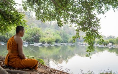 Stress ade: Mit Meditation und Atemübungen zu mehr Gelassenheit im Alltag