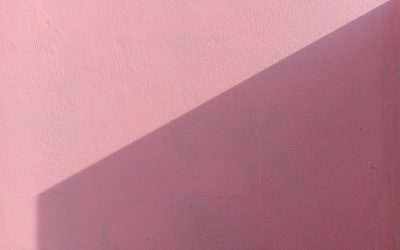 Dein Weg zum Influencer: Erfolg auf YouTube, Instagram, TikTok & Facebook im Jahr 2025