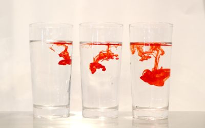 Blutgruppen und Persönlichkeit: Mythos oder Realität?