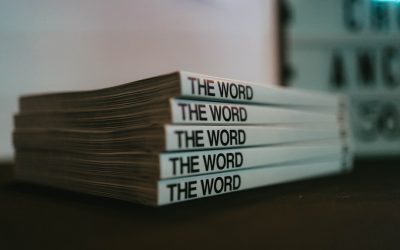 Geld verdienen mit WordPress: Ihr Leitfaden zum erfolgreichen Monetarisierungs-Blog 🚀