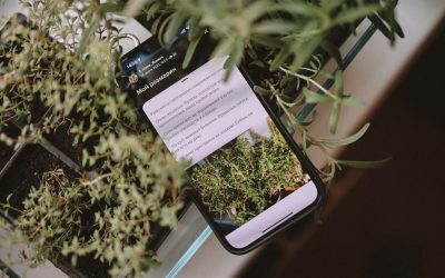 Künstliche Intelligenz im Alltag 2026: Revolution oder Evolution?