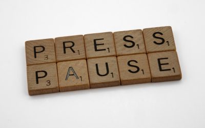 Monetarisierungs-Blogs mit WordPress: Ihr Weg zum digitalen Einkommen 2025