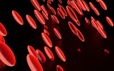 Blutgruppe und Persönlichkeit: Ein Blick auf populäre Theorien