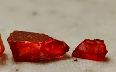 Blutgruppen und Persönlichkeit: Ein Blick auf Mythen und Fakten in 2026