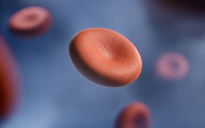 Blutgruppen und Persönlichkeit: Ein Blick auf populäre Theorien