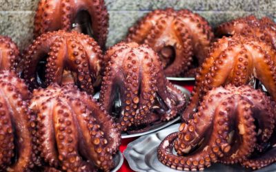 Blutgruppen und Persönlichkeit: Ein faszinierender Blick auf populäre Theorien