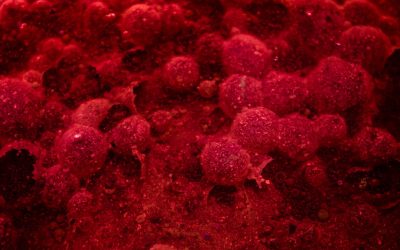 Blutgruppen und Persönlichkeit: Mythos oder Realität? Ein Blick auf die neuesten Erkenntnisse